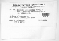 Image Associated With the Occurence